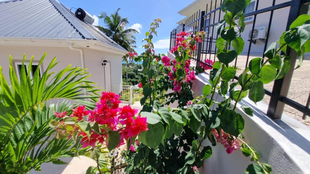 La Trouvaille Aparthotel Anse a La Mouche ภายนอก รูปภาพ