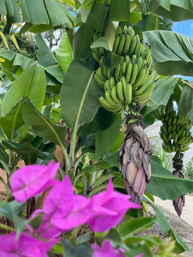 La Trouvaille Aparthotel Anse a La Mouche ภายนอก รูปภาพ