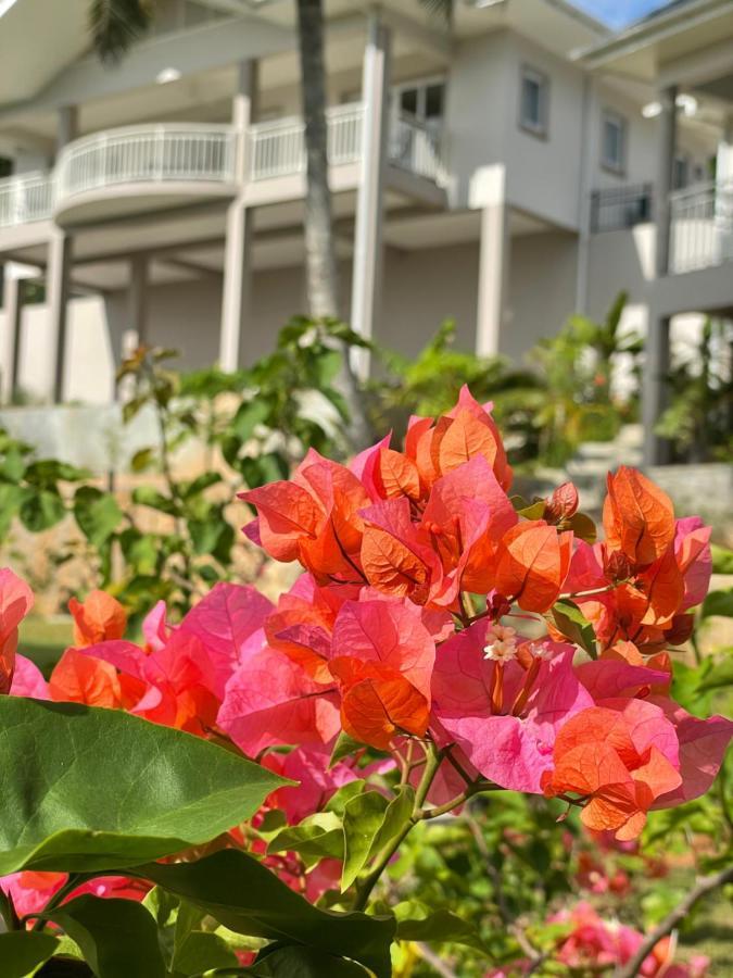 La Trouvaille Aparthotel Anse a La Mouche ภายนอก รูปภาพ