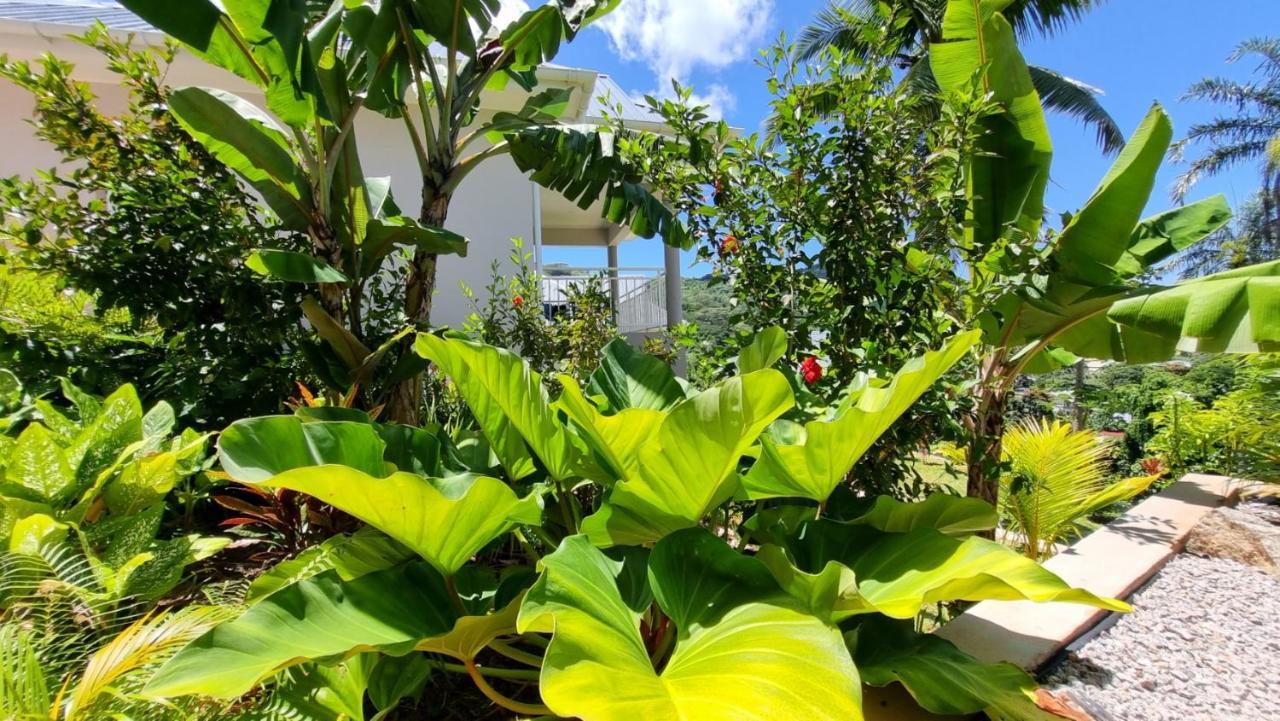 La Trouvaille Aparthotel Anse a La Mouche ภายนอก รูปภาพ
